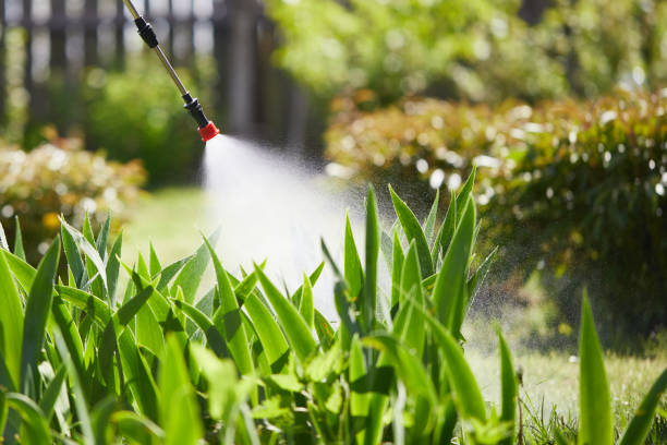 Tamper-Resistant Bait Stations for Rodents in Webberville