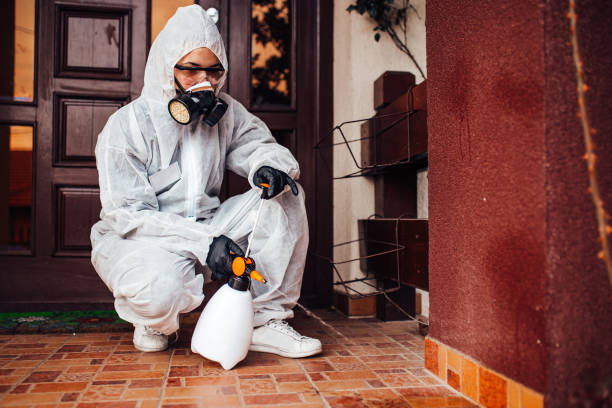 Attic and Crawl Space Rodent Treatment in Webberville
